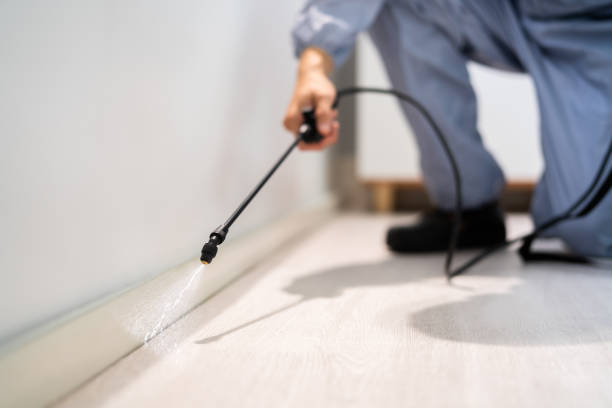Licensed Termite Control service in Clarksburg, WV - Nex Pest Control