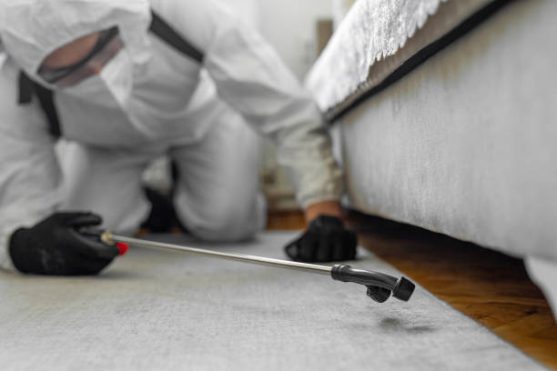 Professional Termite Control technician working in Clarksburg, WV