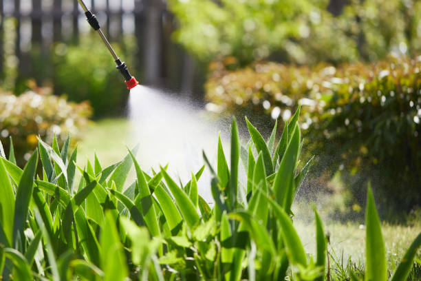 24/7 Emergency Termite Control experts in Clarksburg, WV