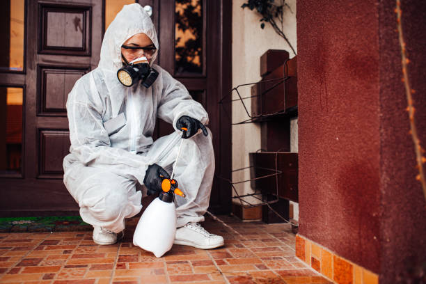 Reliable Termite Control contractor in Clarksburg, WV by Nex Pest Control