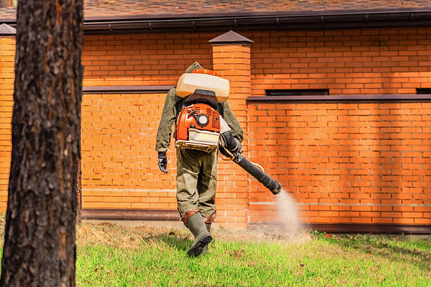 Top rated local Termite Control specialists in Clarksburg, WV